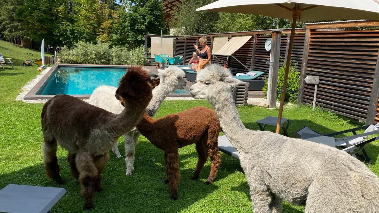 Dolomit Boutique Hotel La Villa  Eksteriør billede